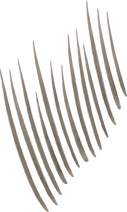 Produktbild Maybelline New York Build-A-Brow (259 Ash Brown)