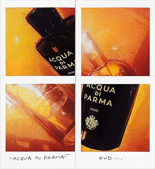 Immagine prodotto Acqua Di Parma Oud (Eau de parfum, 180 ml)