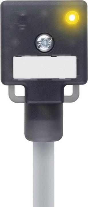 Image du produit Escha Connecteur pour vanne modèle A noir VA22-24.3-5/P01 Pôles:2+PE pontés 804782