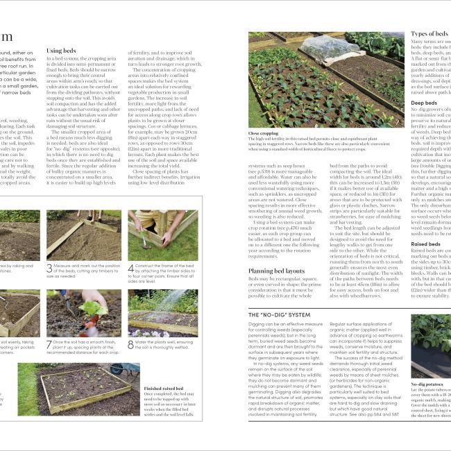 Immagine prodotto RHS Encyclopedia of Gardening New Edition (Inglese, Guy Barter, Christopher Brickell, DK, 2022)