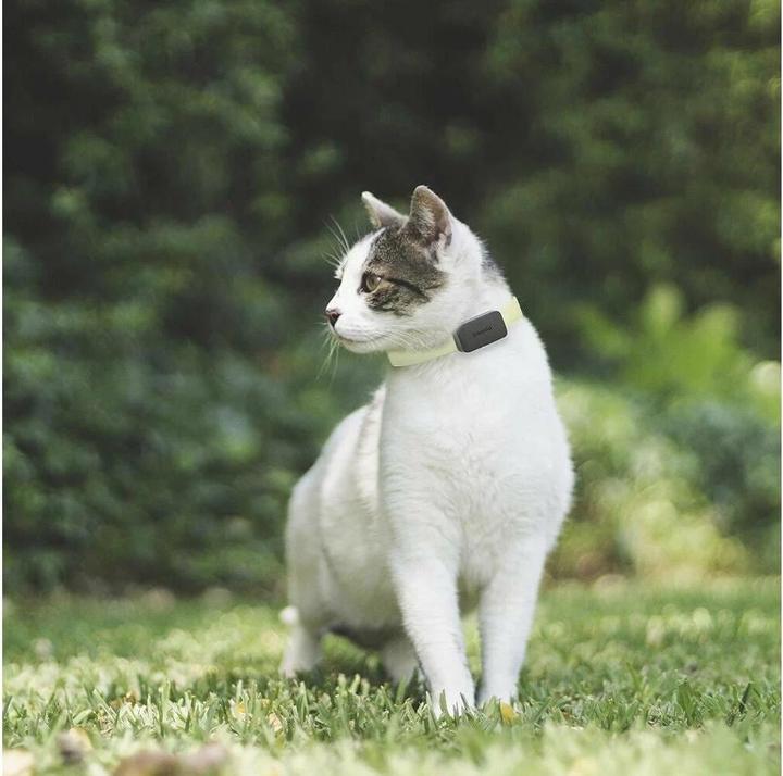Produktbild Invoxia Pet GPS-Tracker (Hund, Katze, Allgemein)