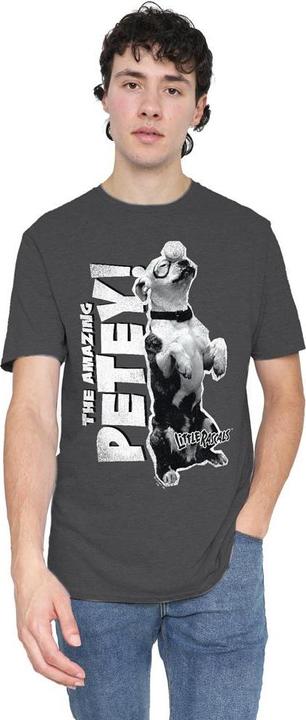 Produktbild The Little Rascals Amazing Petey TShirt (L)