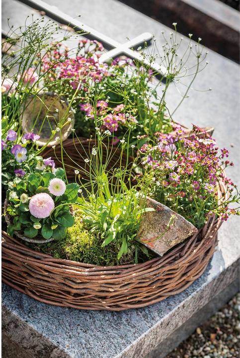Produktbild Opiflor Pflanzentopf mit Harzoptik Braun/Terracotta (10 cm)