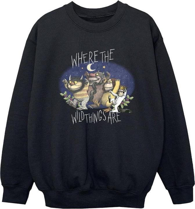 Produktbild Where The Wild Things Are Sweatshirt Jungen (116)