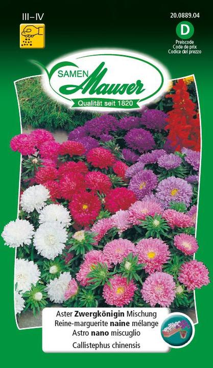 Immagine prodotto Samen Mauser Miscela di aster nano regina (Semi di piante)