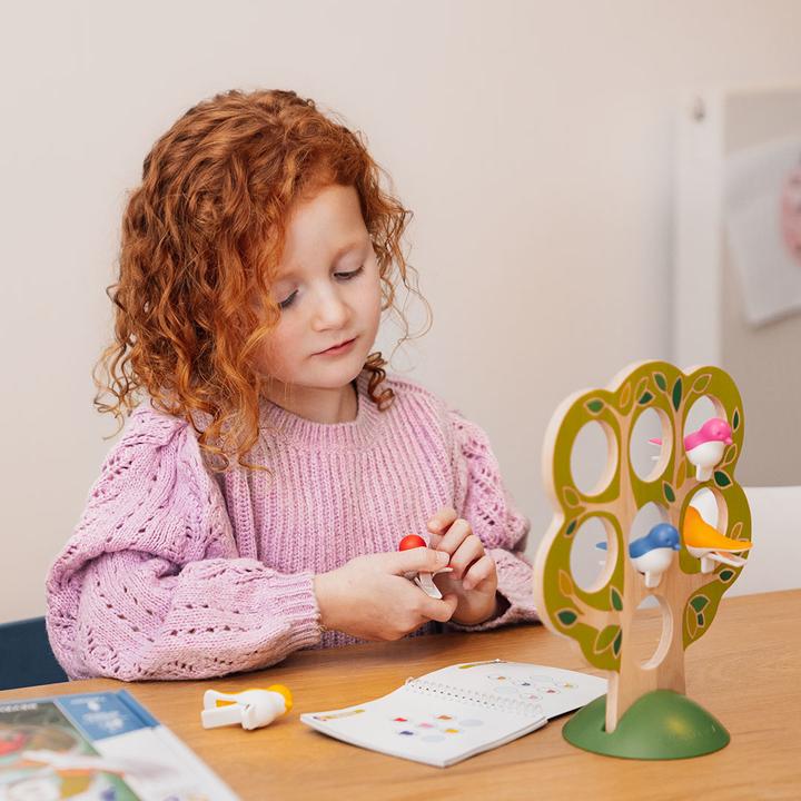 Actual product image Smart Games 5 Little Birds (mult) (German, French, Italian)