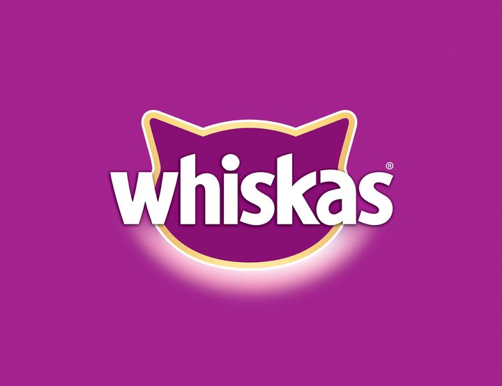 Immagine prodotto Whiskas Sacchetto Freshness 85g Selezione Classica in Salsa Junior 4-Pack (Junior, 4 pz., 370 g)