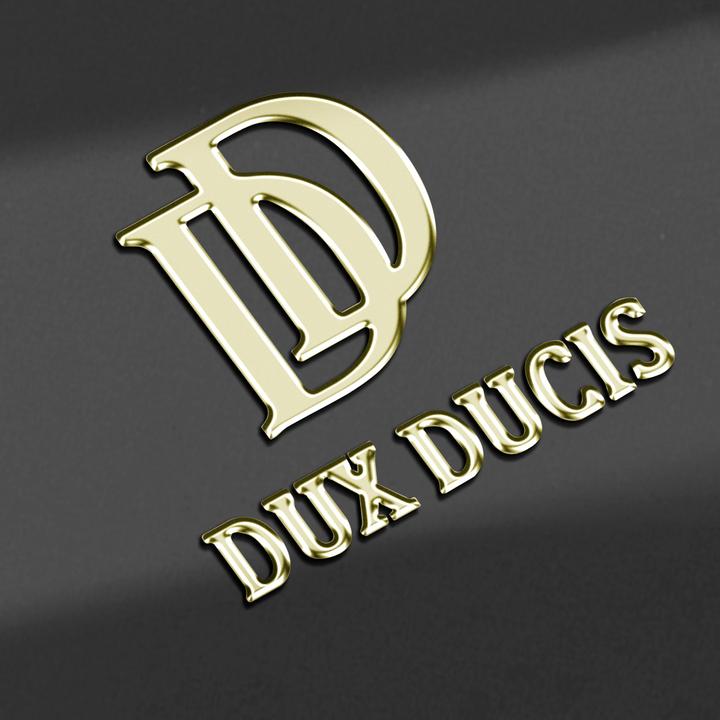 Actual product image Dux Ducis Cover (Samsung Galaxy S24 Ultra)