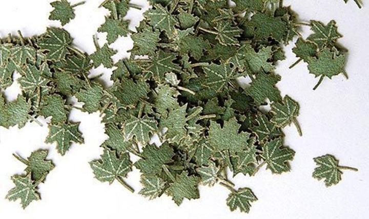 Actual product image Plus Model Green walnut leaves