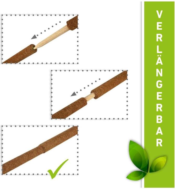 Actual product image Windhager Plant stick coconut (80 cm, 4.50 cm)
