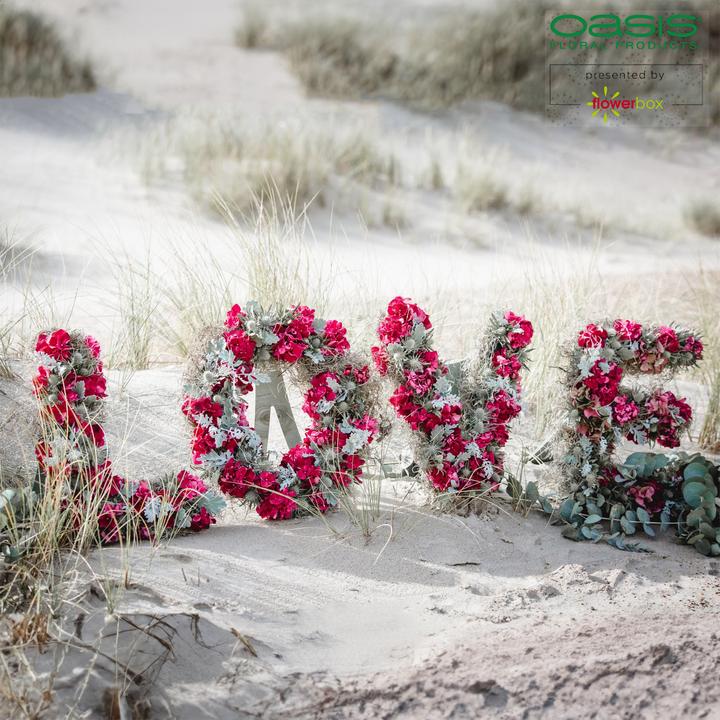 Actual product image Oasis BIOLINE Letter G