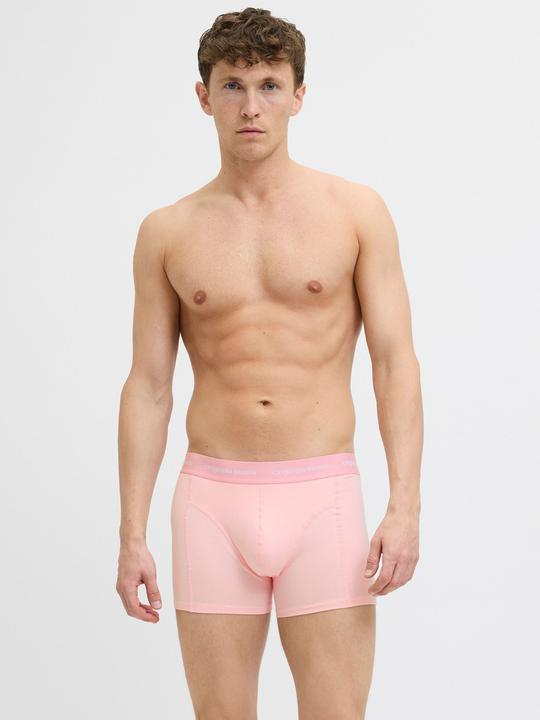 Actual product image Jack & Jones Shorts Shorts (XXL, 5-pack)
