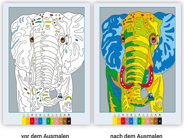 Image du produit Ravensburger CreArt Peinture par numéros Animaux sauvages