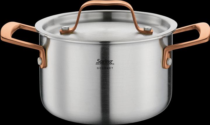 Actual product image Spring Gourmet saucepan rose gold (Pot)