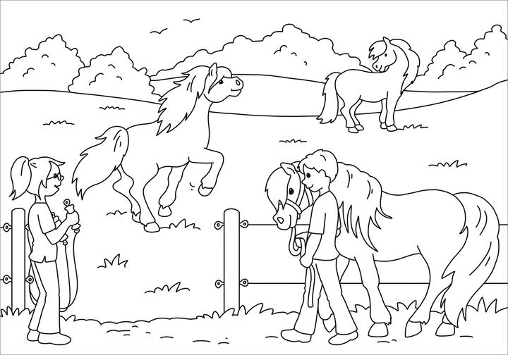 Produktbild Tessloff Mein schönstes Malbuch. Ponyhof