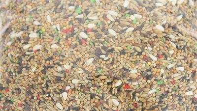 Actual product image dekoVries Grote Parkietenvoer (2.61 kg)