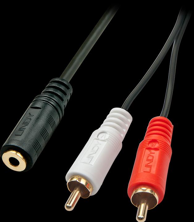 Lindy Audio adapter cable with 2x RCA to 3.5mm jack plug (0.25 m, 3.5mm jack (AUX), Cinch)