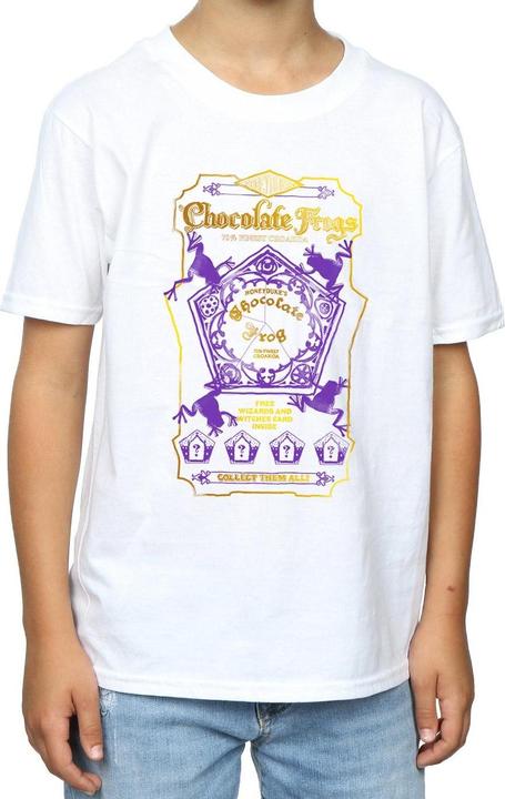 Actual product image Boys Chocolate Frogs Coloured Label T-Shirt (140, 146)