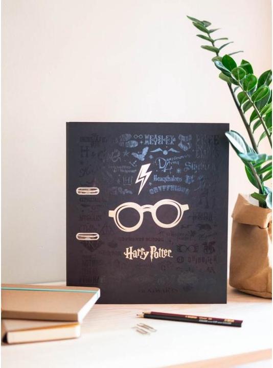 Actual product image Folder Harry Potter glasses 28.5 cm, dark brown (1 Piece)