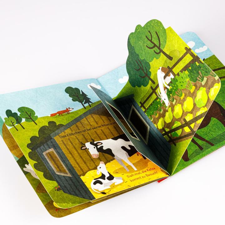 Produktbild Baby Pixi (unkaputtbar) 141: Flippediflapp: Tiere auf dem Bauernhof (Deutsch)