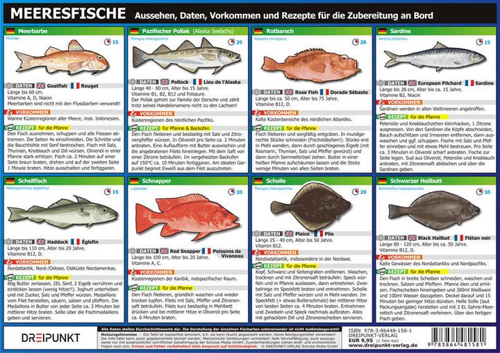 Actual product image Info-Tafel-Set Meeresfische (German, Michael Schulze, 2013)