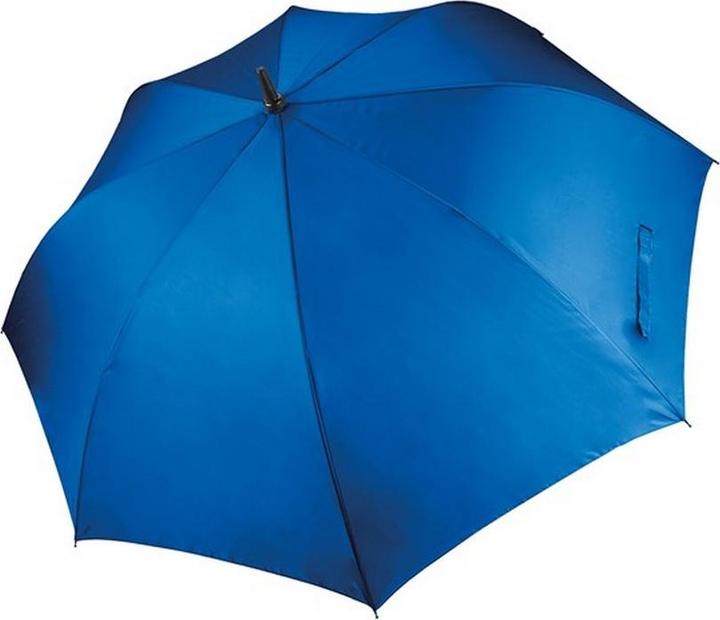 Bleu roi