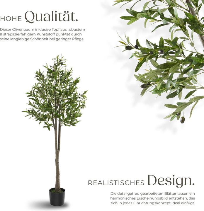 Produktbild tectake Olivenbaum Oleand (150 cm)