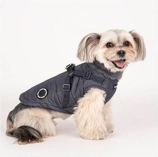 Image du produit Puppia Donavan (S, Manteau pour chien)
