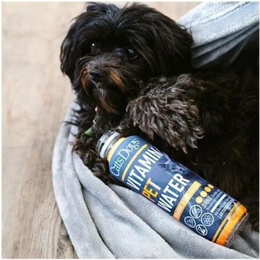Image du produit Cats Dogs Eau Vitaminée pour animaux (500ml) (Senior, 6 pcs, 3000 g)