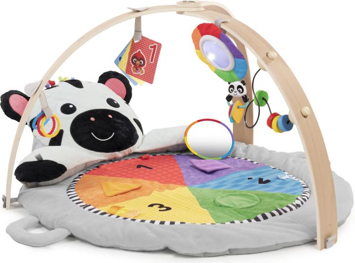 Actual product image Baby Einstein Plush Gym, Zen's Activity Milestones™