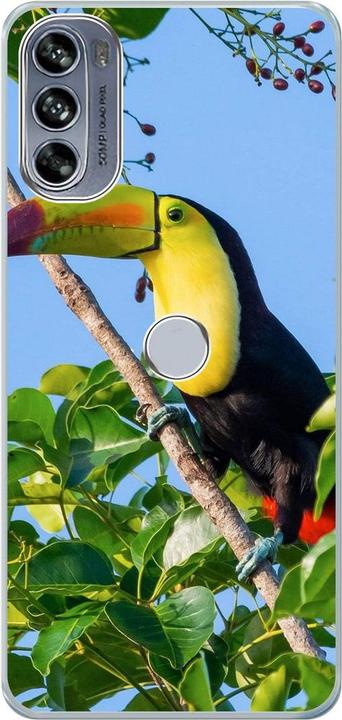 Tucan