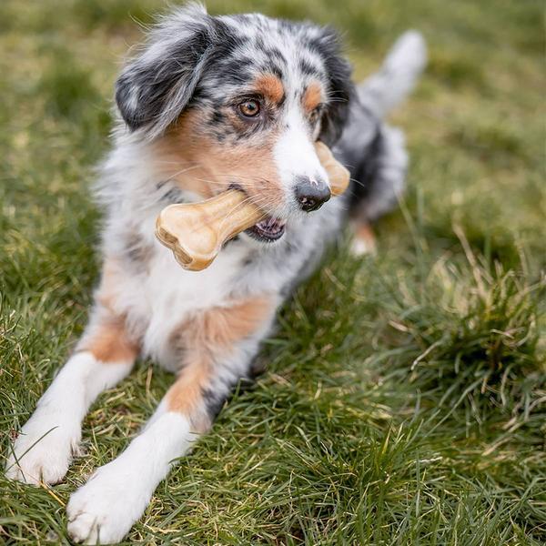 Actual product image Nobby Chew bone pressed (1 pcs., 450 g)
