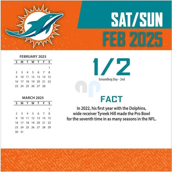 Energie-Label NFL - Miami Dolphins - Boxkalender 2025 (Spanisch, Italienisch, Englisch, Deutsch, Französisch)