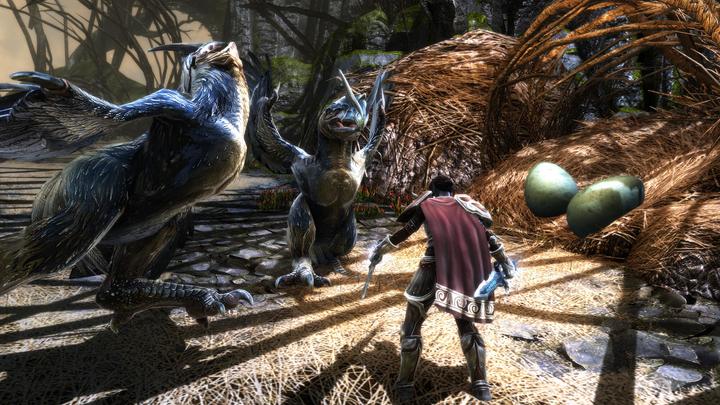 Produktbild THQ Kingdoms of Amalur Re-Reckoning (Xbox One X, Xbox Series X, EN)