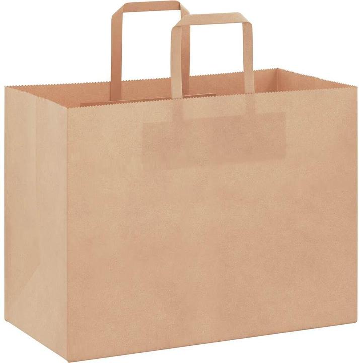 Image du produit VidaXL Sacs en papier kraft 50 pcs. avec anse marron 32x17x25 cm Sac en papier (Pochette cadeau, 50 x)