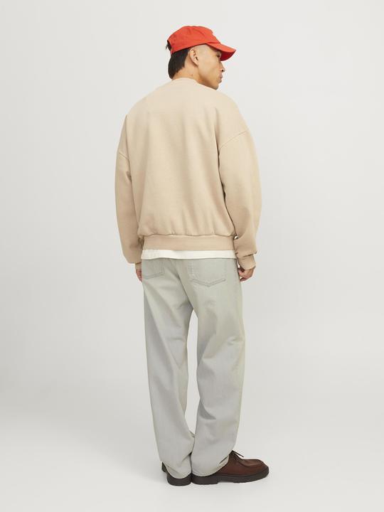 Image du produit Jack & Jones JJIALEX JJCLASSIC JJ 251 Baggy Fit Jeans Baggy Fit Jeans (28)