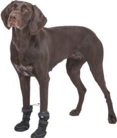 Produktbild Trixie Walker Active Long protective boots, L, 2 pcs., black (L, Hundeschuhe)