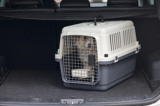 Actual product image Karlie Nomad (Dog, Cat, Lockable)