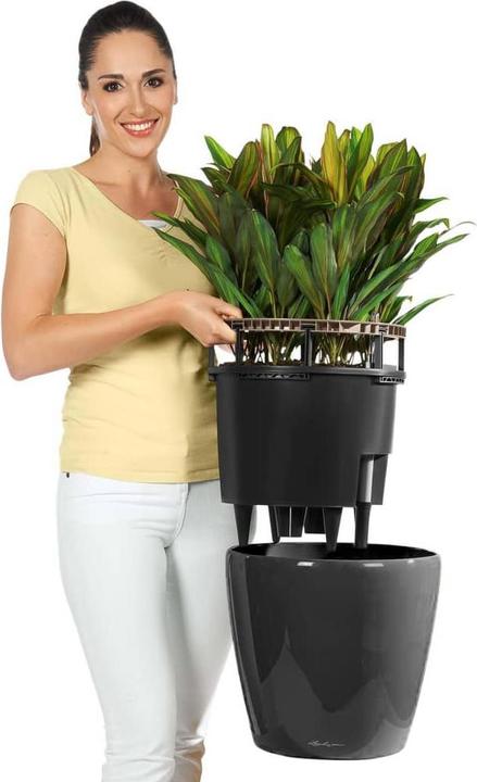 Immagine prodotto Lechuza Classico (28.50 cm)
