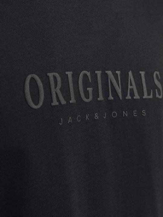 Actual product image Jack & Jones Jorfrederiksberg Tee Ss Crew Neck Noos (L)