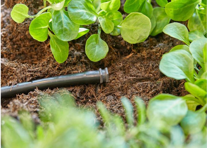 Image du produit Gardena Bouchon de fermeture 4,6 mm (Irrigation goutte à goutte Connecteur + dérivation)