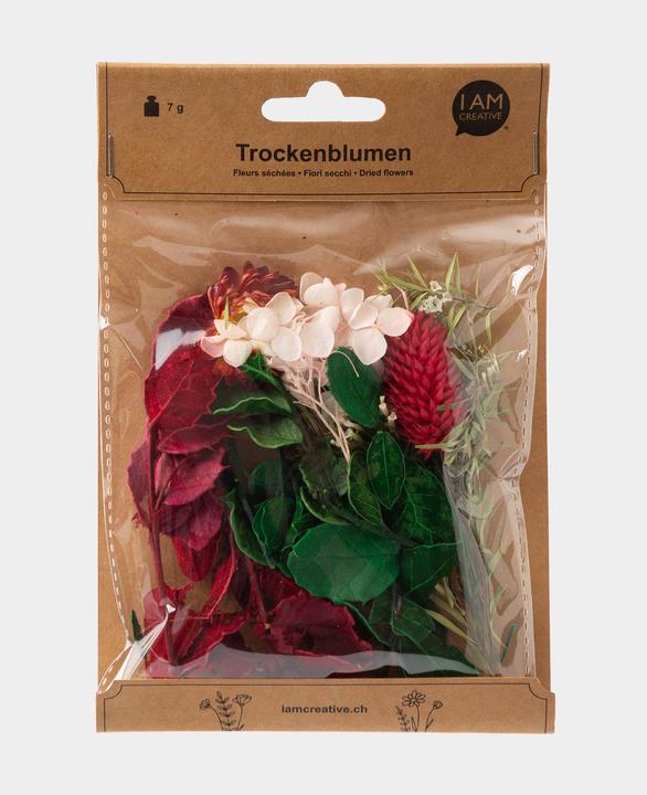 Immagine prodotto I Am Creative Set di fiori secchi (Fiori secchi)