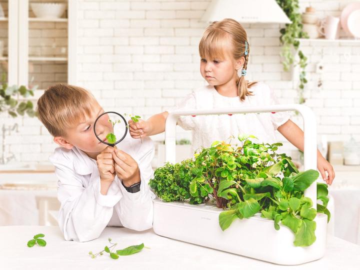 Produktbild Click and Grow Smart Garden 9 (62.50 cm)