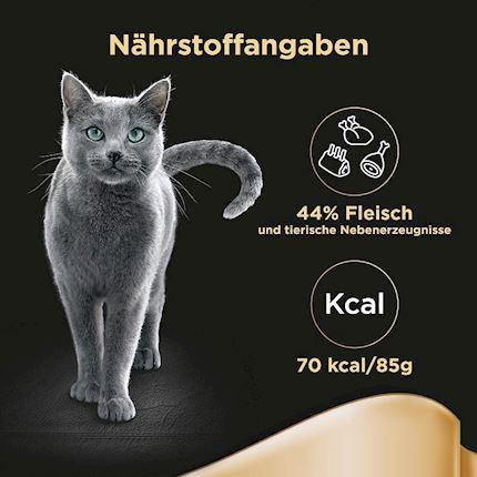 Actual product image Sheba Feine Vielfalt (Adult, 12 pcs., 1020 g)