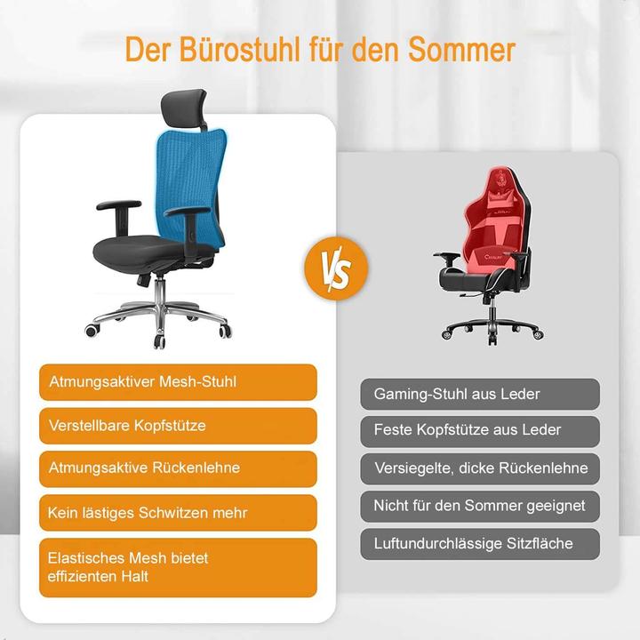 Produktbild Sihoo Bürostuhl mit Lendenwirbelstütze