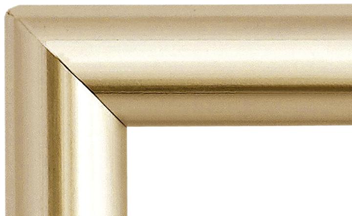 Immagine prodotto Dufco cornice a clip (50 x 70 cm)