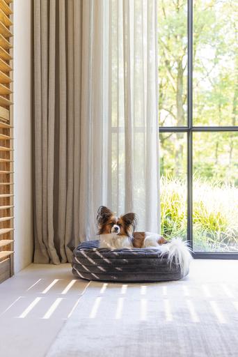 Produktbild Designed by Lotte Liegekissen Reza (Hund)