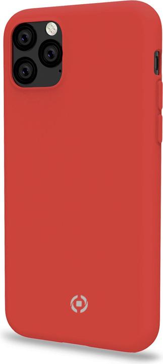 Rot