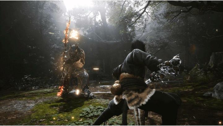 Productafbeelding Game Science Zwarte Mythe Wukong (PS5, DE)