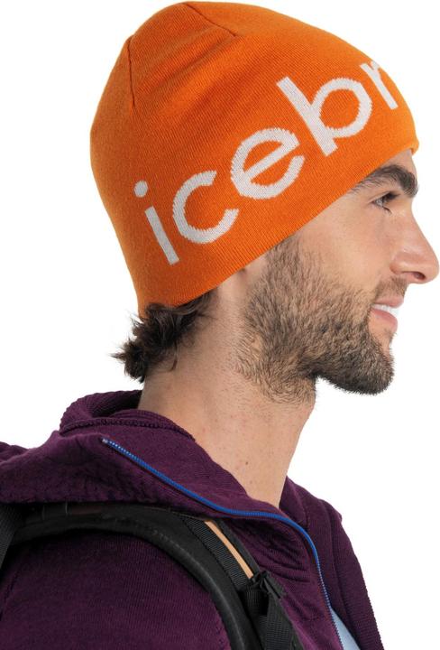Actual product image Icebreaker U Mer Beanie (One size)